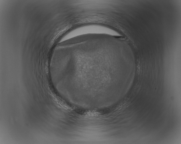 X0000076350403200610201805