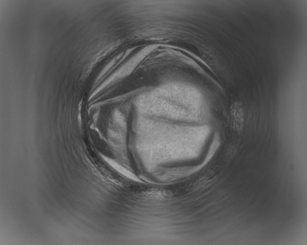 X0000076350404200610201805