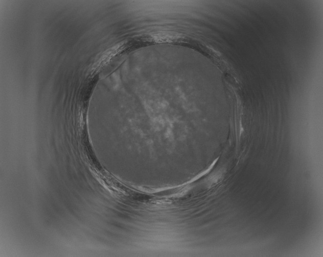 X0000076350405200610201805