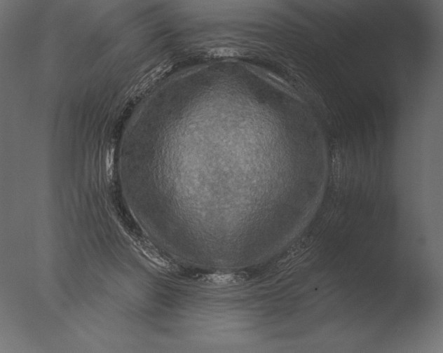 X0000076350406200610201805