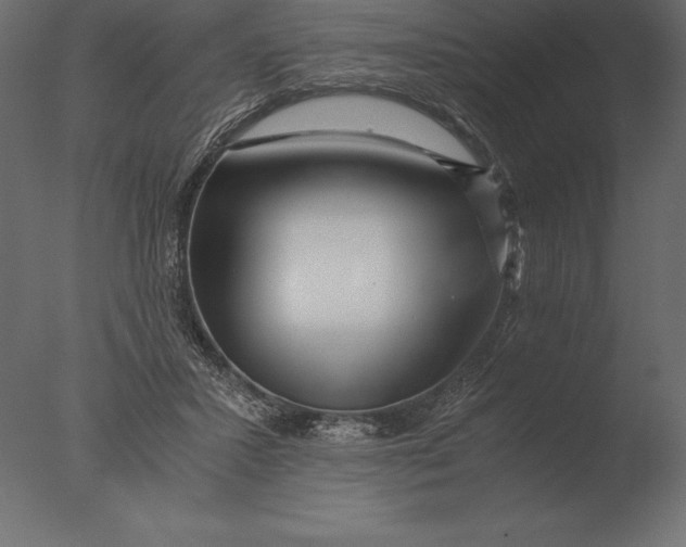 X0000076350407200610201805