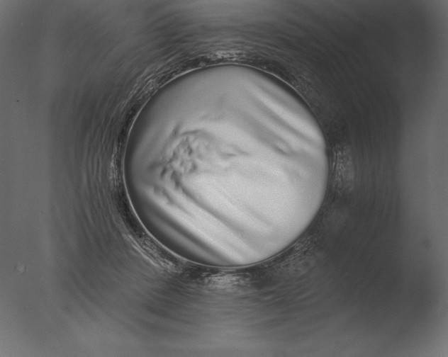 X0000076350408200610201805