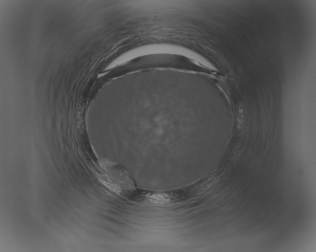 X0000076350409200610201805