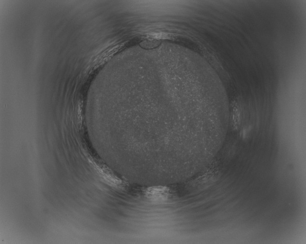 X0000076350410200610201805