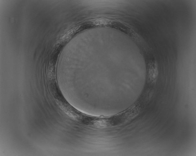 X0000076350411200610201805