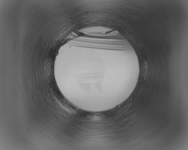 X0000076350412200610201805