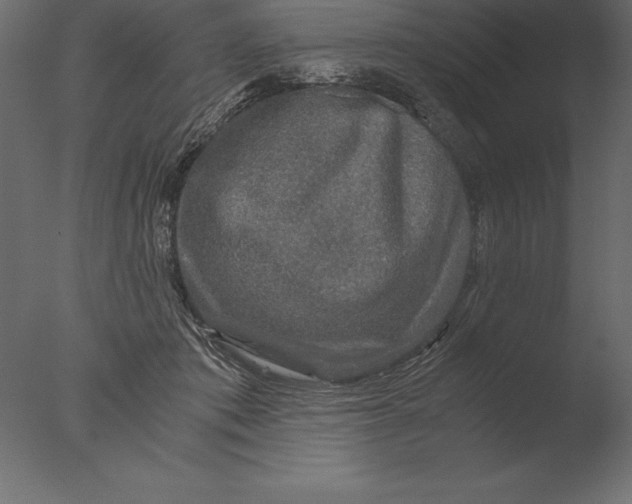 X0000076350413200610201805