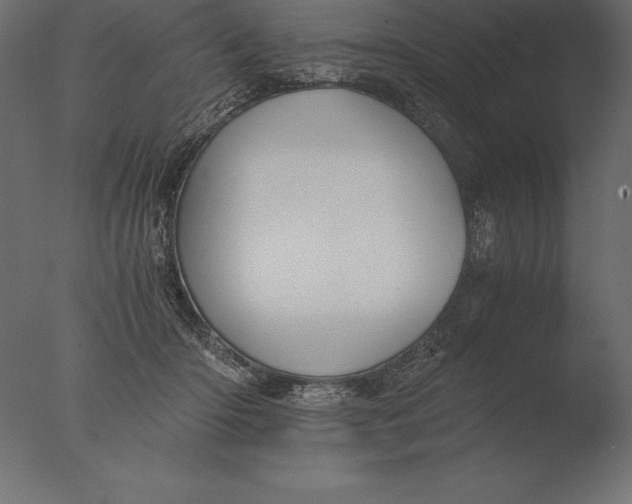 X0000076350414200610201805