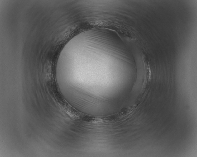 X0000076350416200610201805