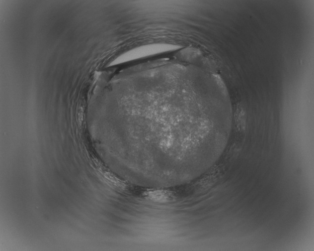 X0000076350417200610201805