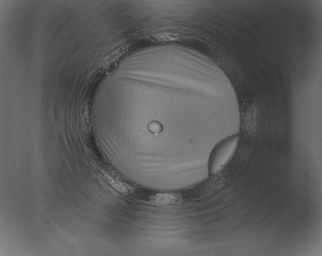 X0000076350418200610201805