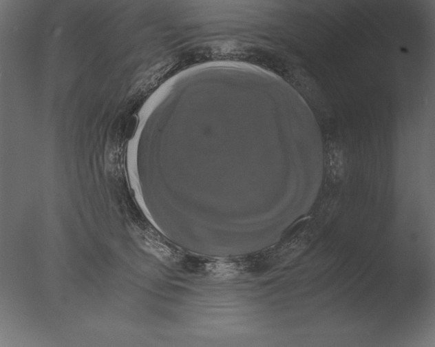 X0000076350419200610201805