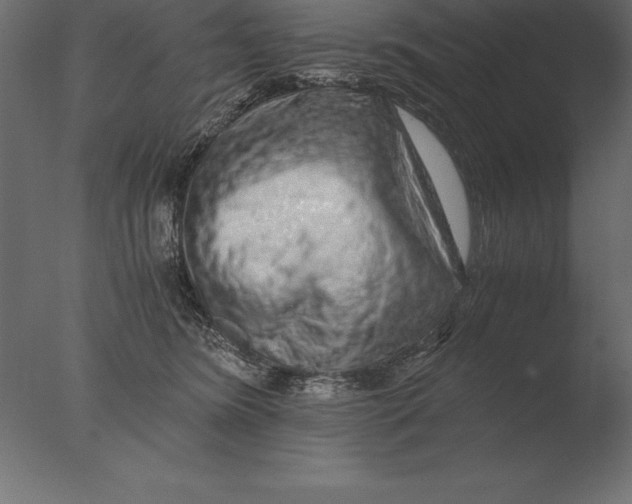 X0000076350420200610201805