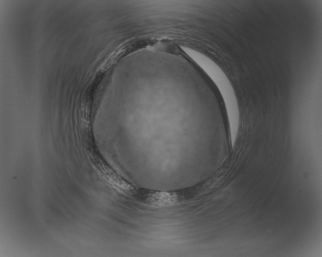 X0000076350421200610201805