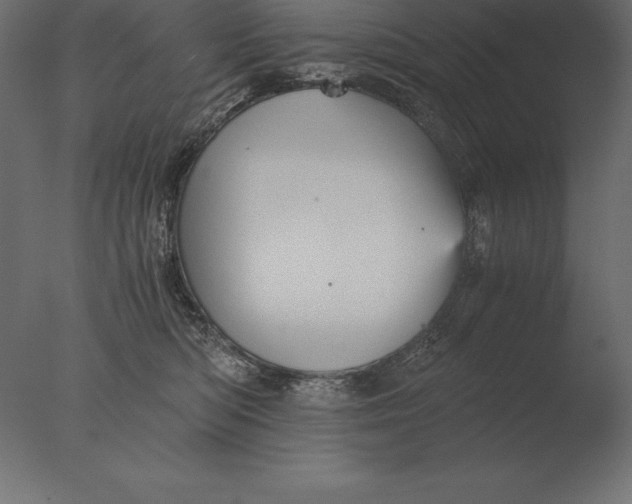 X0000076350422200610201805