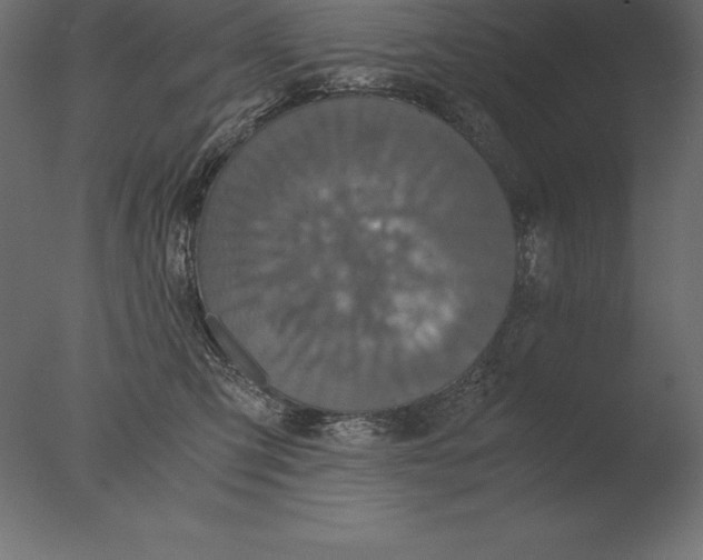 X0000076350423200610201805