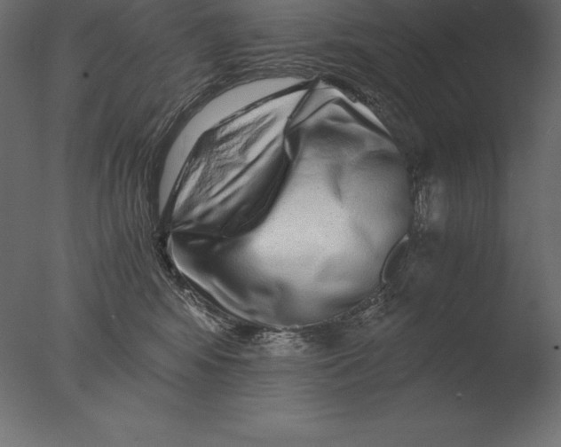 X0000076350424200610201805