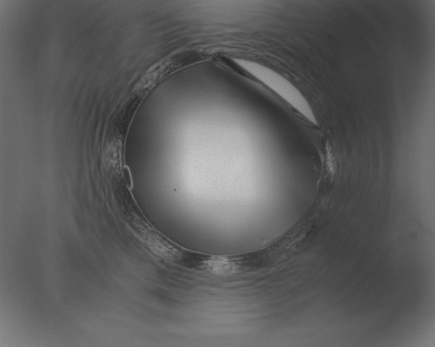 X0000076350425200610201805