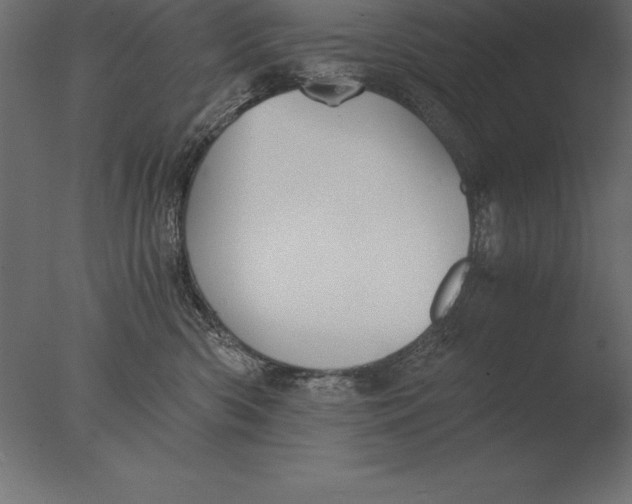 X0000076350426200610201805