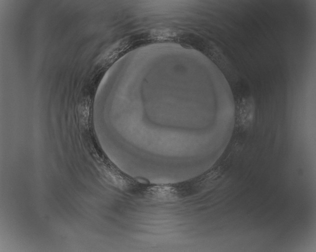 X0000076350427200610201805