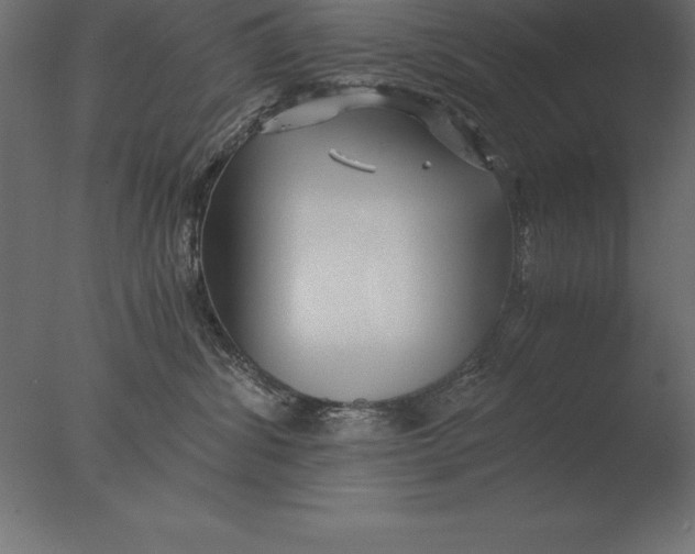 X0000076350428200610201805