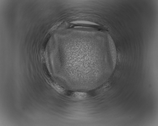 X0000076350429200610201805