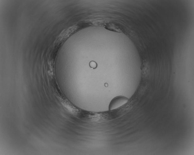 X0000076350430200610201805