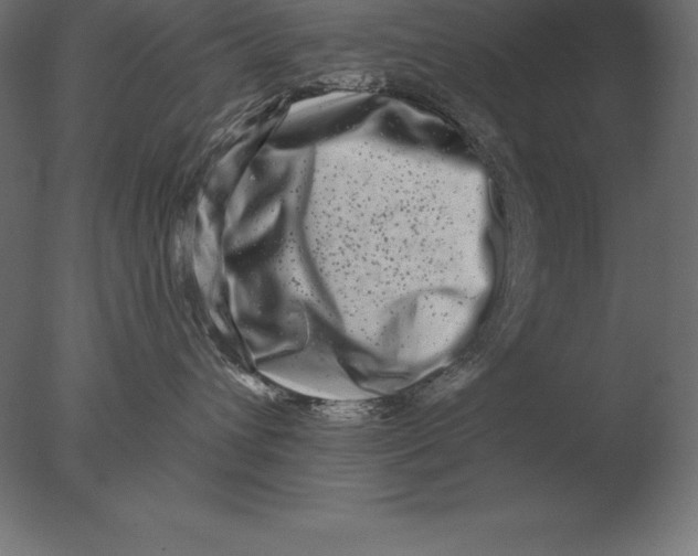 X0000076350432200610201805