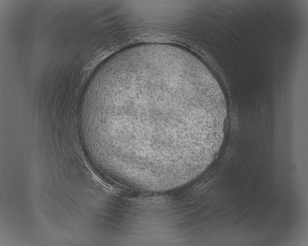 X0000076350433200610201804