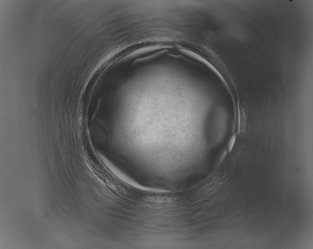 X0000076350435200610201804