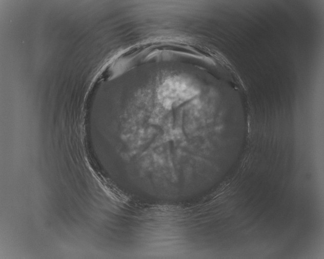 X0000076350436200610201804