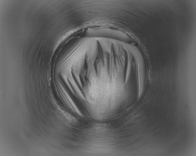 X0000076350438200610201804