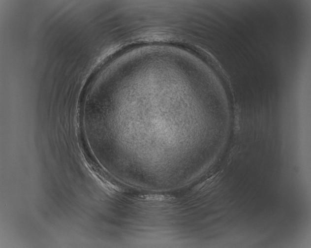 X0000076350439200610201804