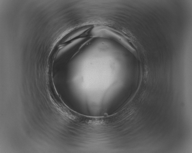 X0000076350440200610201804