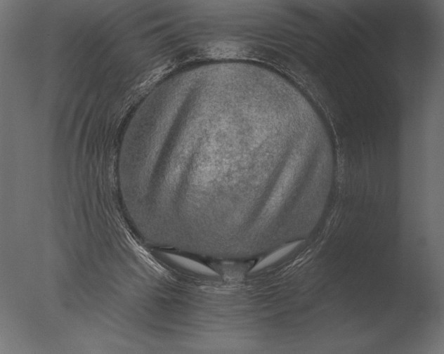 X0000076350441200610201804