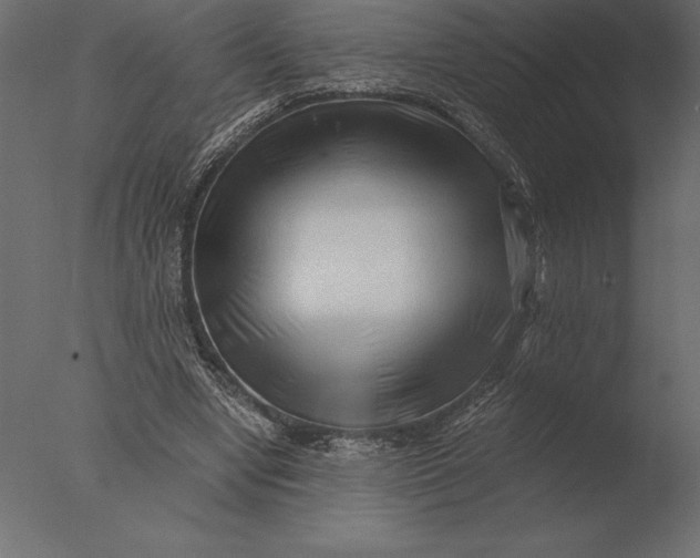 X0000076350442200610201804