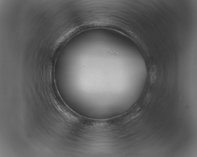 X0000076350446200610201804