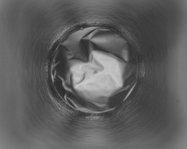 X0000076350448200610201804