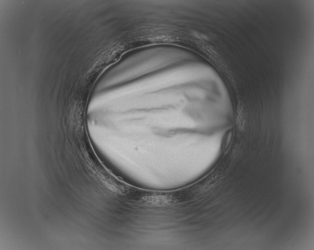 X0000076350449200610201804