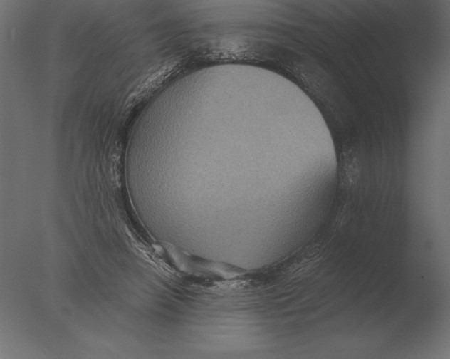 X0000076350450200610201804