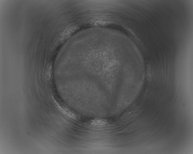 X0000076350451200610201804