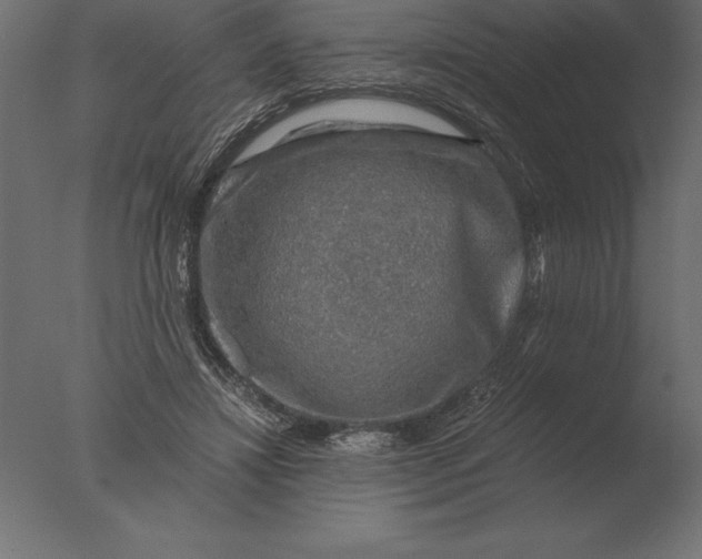 X0000076350452200610201804