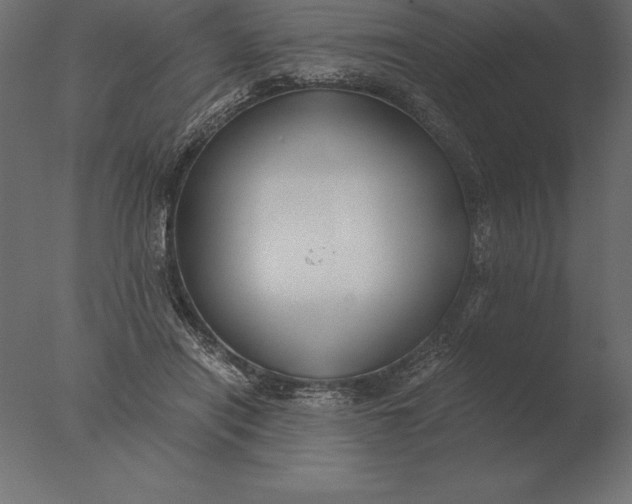 X0000076350454200610201804