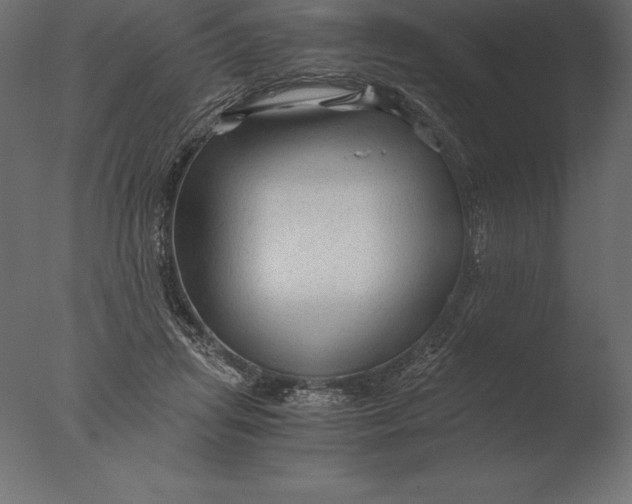 X0000076350455200610201804