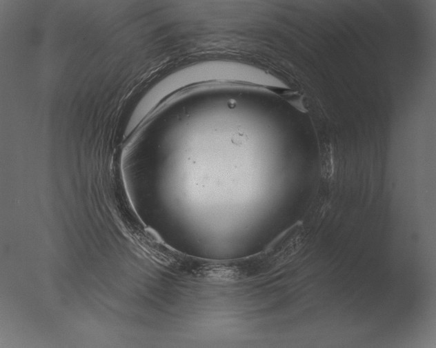 X0000076350456200610201804