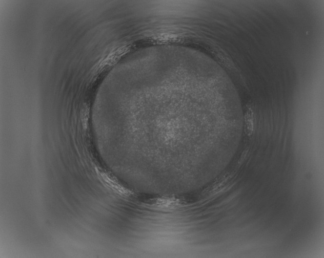 X0000076350458200610201805