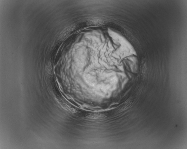 X0000076350459200610201805