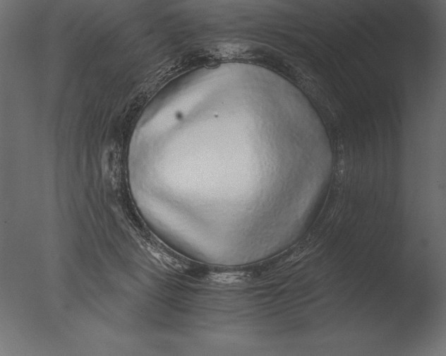 X0000076350461200610201805