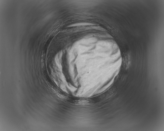 X0000076350462200610201805