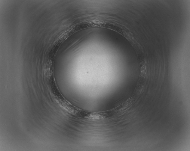 X0000076350464200610201805